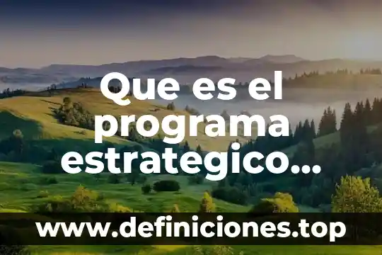 Que es un plan estrategico de mercadotecnia segun autores 8 Que es el programa estrategico comercial dentro de la mercadotecnia