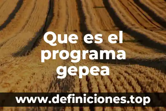 Que es un programa istitucional 3 Que es el programa gepea