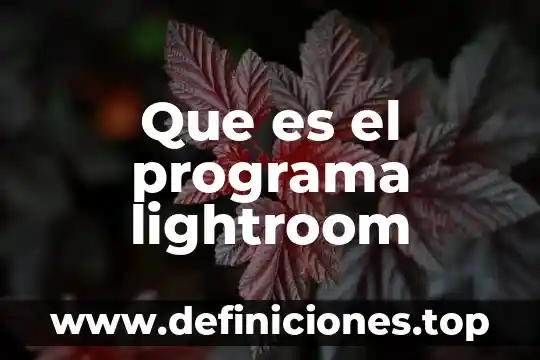 Que es un programa de respuesta de incidentes 8 Que es el programa lightroom