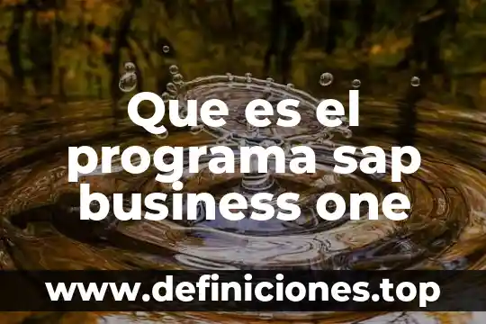 Que es el programa sap business one