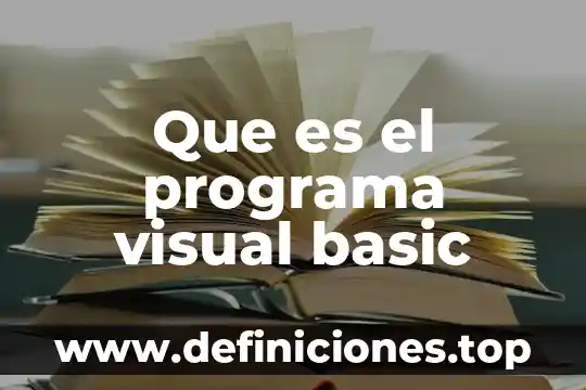 Que es la conversión de datos en visual basic 4 Que es el programa visual basic
