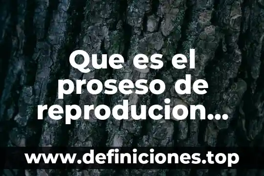 Que es el proseso de reproducion del ser humano