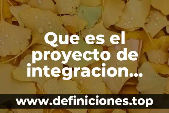 Que es el proyecto de integracion escolar