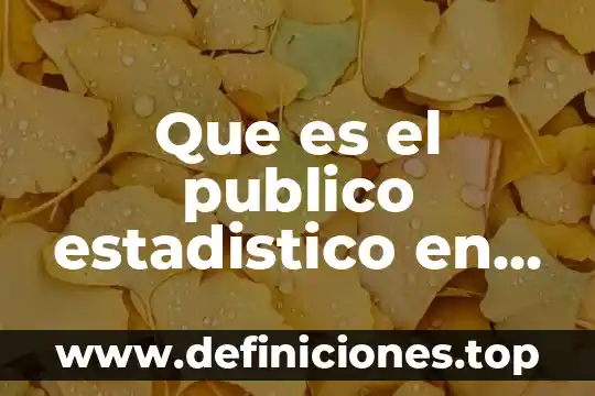 Qué es la contabilidad y finanzas públicas 4 Que es el publico estadistico en las relaciones publicas