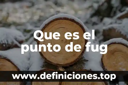 Que es la ecologia en un punto de vista ecologico 3 Que es el punto de fug