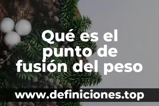 Qué es mejor parallels o vmware fusion 6 Qué es el punto de fusión del peso
