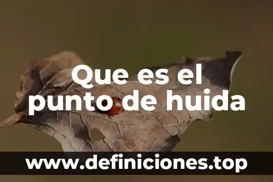 Que es el punto y como y cuando inicia 8 Que es el punto de huida