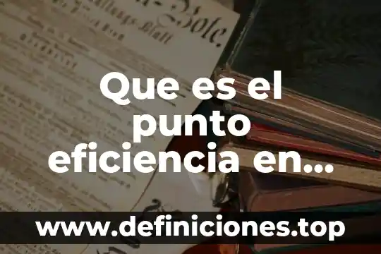 Que es la ecologia en un punto de vista ecologico 4 Que es el punto eficiencia en una curva