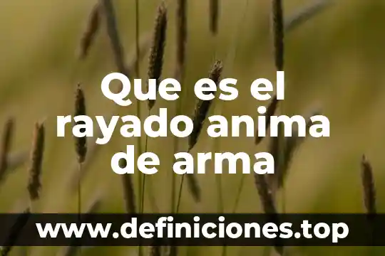 Que es la técnica del rayado y puntillismo 3 Que es el rayado anima de arma