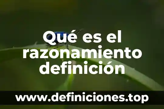 Qué es el razonamiento definición