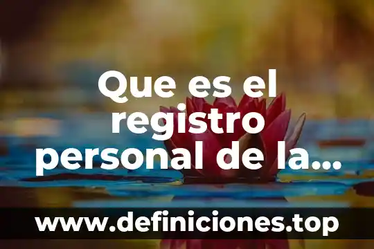Que es una preparatoria publica 3 Que es el registro personal de la preparatoria