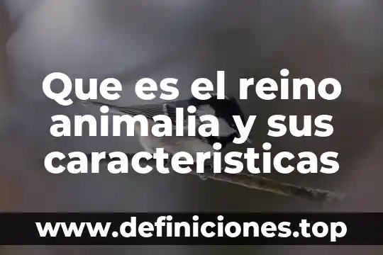 Que es el vat de reino unido 8 Que es el reino animalia y sus caracteristicas