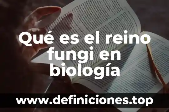 Que es el vat de reino unido 5 Qué es el reino fungi en biología