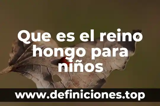 Que es el vat de reino unido 3 Que es el reino hongo para niños