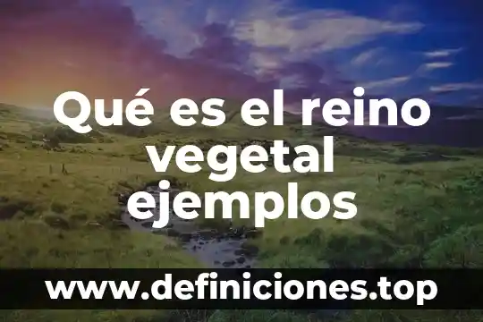 Que es el vat de reino unido 7 Qué es el reino vegetal ejemplos