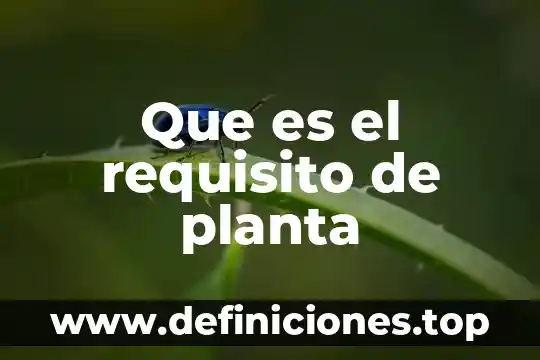 Que es el requisito de planta