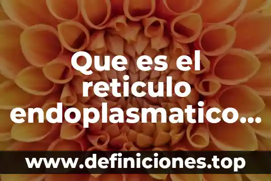 Que es el reticulo endoplasmatico rugoso en la celula vegetal
