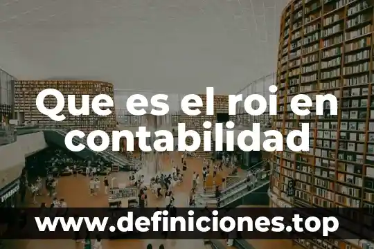 Que es exportacion en contabilidad 4 Que es el roi en contabilidad
