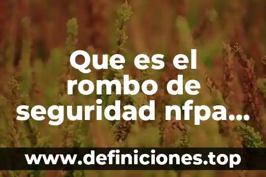 Que es seguridad prevencion 7 Que es el rombo de seguridad nfpa 704