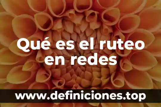 Qué es el ruteo en redes