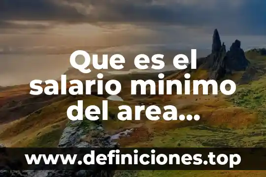 Que es el area del derecho 6 Que es el salario minimo del area geografica del asegurado