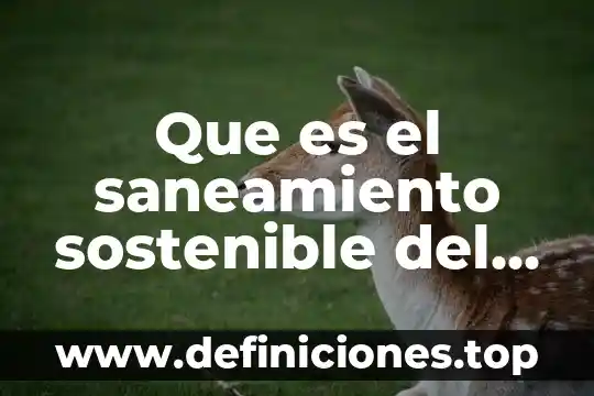 Que es el saneamiento sostenible del agua