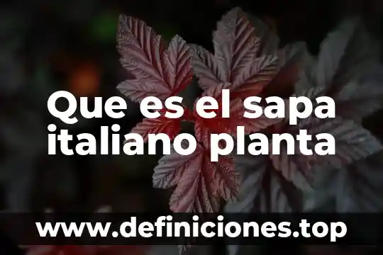 Que es una planta autógama 8 Que es el sapa italiano planta