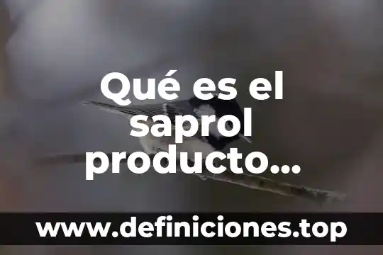 Que es un producto artesanal y como se elabora 6 Qué es el saprol producto químico