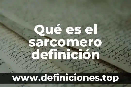 Qué es el sarcomero definición