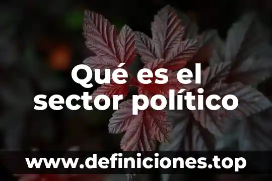 Que es el análisis jurídico y político de la constitución 6 Qué es el sector político