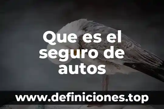 Gap que es en el seguro 5 Que es el seguro de autos