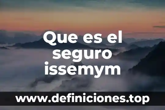 Qué es un seguro sash 6 Que es el seguro issemym