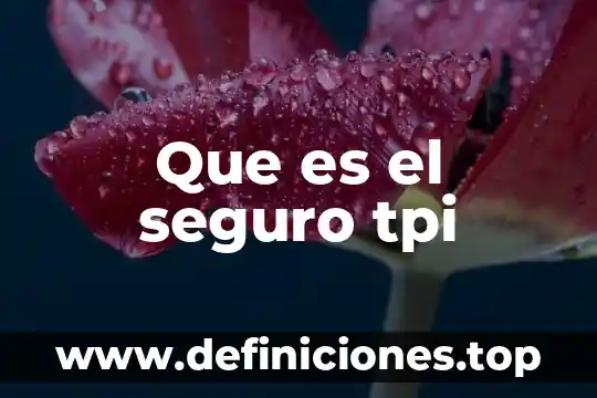 Que es el seguro tpi