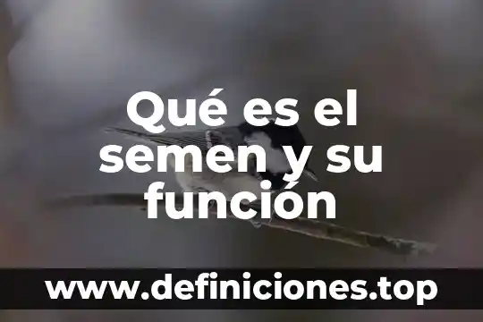 Que es conflicto de competencia procesal 5 Qué es el semen y su función