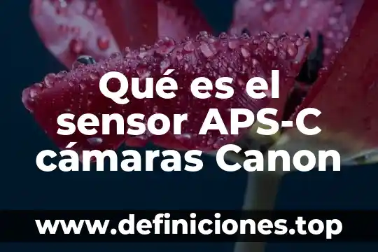 Que es un sensor en sistemas de control 4 Qué es el sensor APS-C cámaras Canon