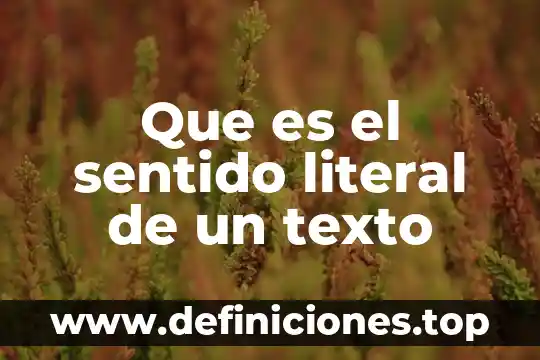Que es significa la palabra literal 4 Que es el sentido literal de un texto