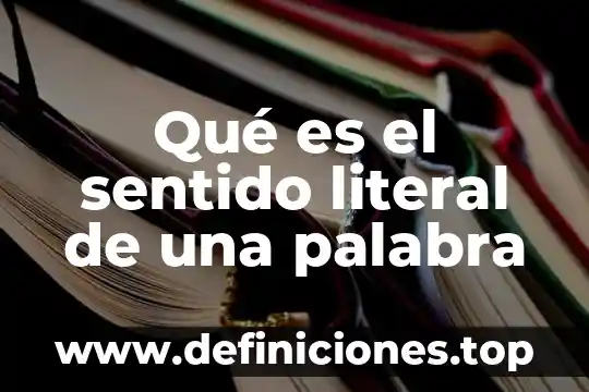 Que es significa la palabra literal 3 Qué es el sentido literal de una palabra