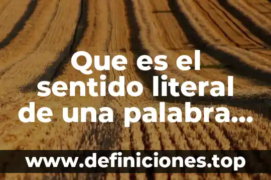 Que es significa la palabra literal 5 Que es el sentido literal de una palabra o frase