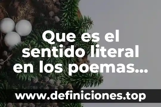 Que es significa la palabra literal 7 Que es el sentido literal en los poemas ejemplo