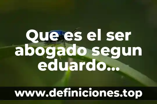 Abogado económico que es 3 Que es el ser abogado segun eduardo couture