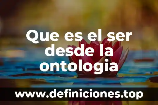 Que es el ser desde la ontologia