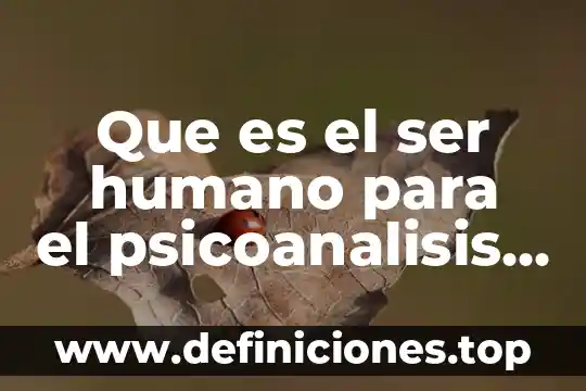 Que es violencia para el psicoanalisis 3 Que es el ser humano para el psicoanalisis redalyc