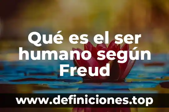 Qué es el ser humano según Freud