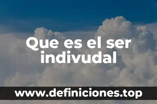 Que es el ser indivudal