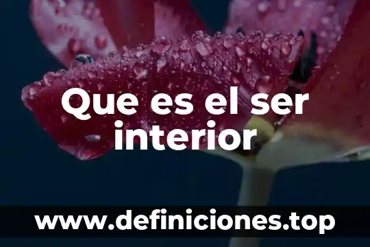 Que es el ser interior