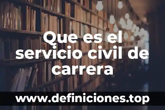 Que es el derecho civil segun unam 4 Que es el servicio civil de carrera