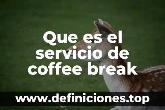 Prestador de servicio que es 7 Que es el servicio de coffee break