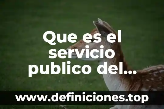 Que es sales development representative 5 Que es el servicio publico del estado