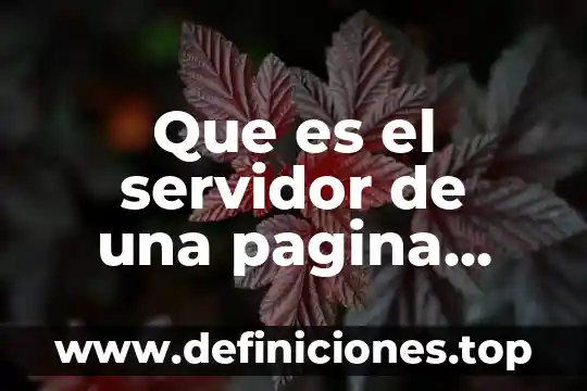 Por que es importante el diseño en un sitio web 6 Que es el servidor de una pagina web