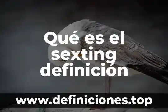 Definición lo que es adolescencia 5 Qué es el sexting definición